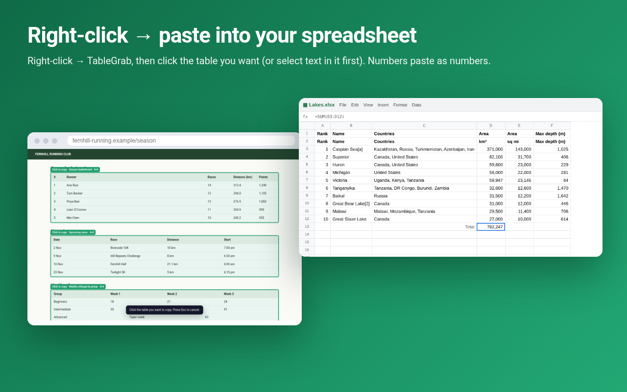 The copied table pasted into a spreadsheet